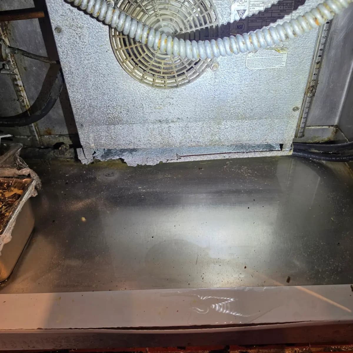 Grease, debris and corrosion around commercial refrigeration equipment during a maintenance inspection in Tucson
